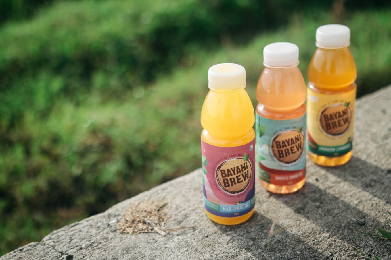 Three Bayani Brew bottles lined up on a concrete ledge beside the rice fields: M.A.D. Concoction, Camotea Connection, and Lipsmackin&rsquo; Lemongrass.