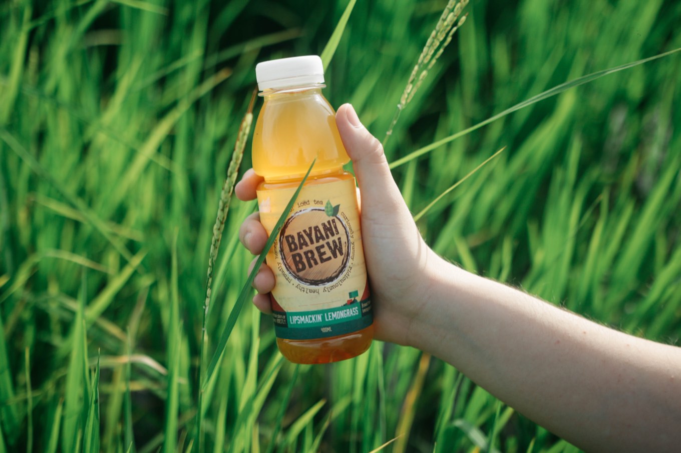 A hand holding up a bottle of Bayani Brew Lipsmackin&rsquo; Lemongrass iced tea among tall green rice stalks.